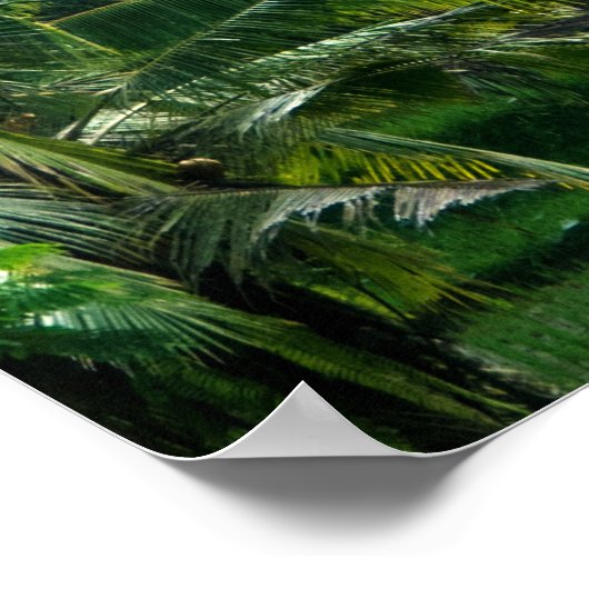 Rijstvelden Bali Indonesia Poster (Hoek)