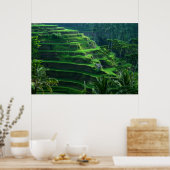 Rijstvelden Bali Indonesia Poster (Keuken)