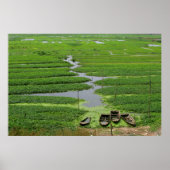 rijstvelden in cambodja poster (Voorkant)