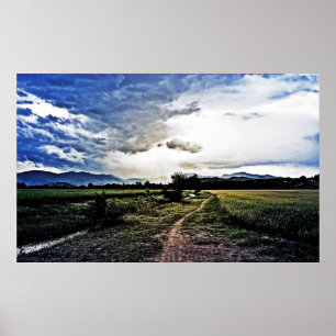 Rijstvelden onderweg poster