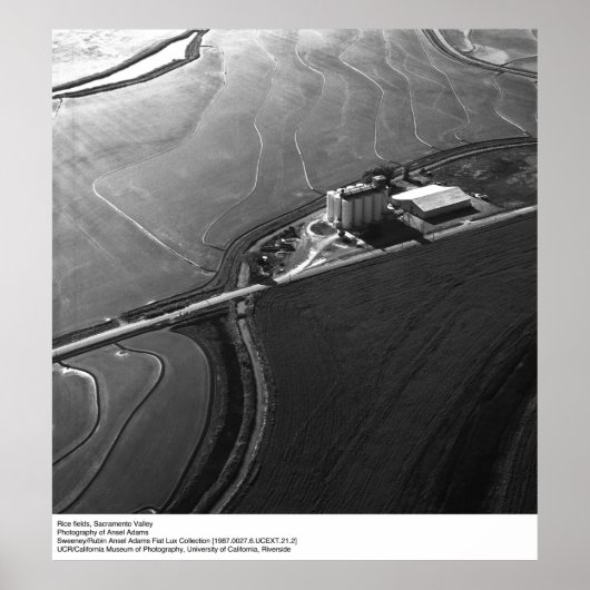 Rijstvelden, Sacramento Valley, door Ansel Adams Poster (Voorkant)
