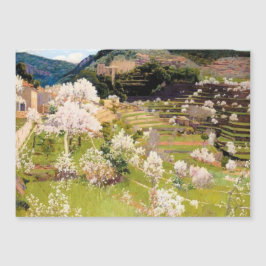 Rijtentuin op Mallorca