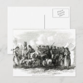 Rijvee voor huur briefkaart (Voorkant / Achterkant)