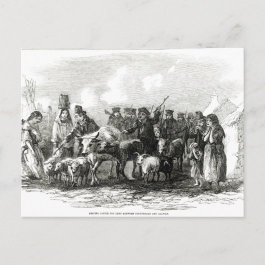 Rijvee voor huur briefkaart (Voorkant)