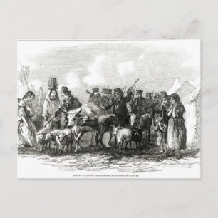 Rijvee voor huur briefkaart