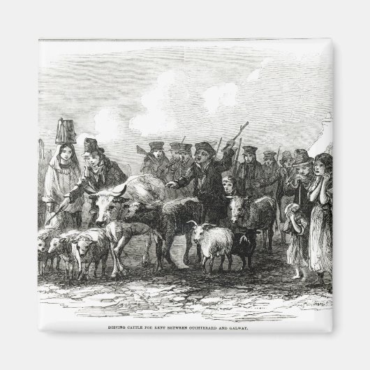 Rijvee voor huur magneet (Voorkant)
