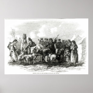 Rijvee voor huur poster