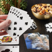 Rijwielkaarten voor de Lakeland-doodsbang Pokerkaarten (Insitu)