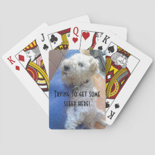 Rijwielkaarten voor de Lakeland-doodsbang Pokerkaarten