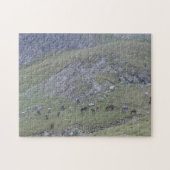 Rila Mountain Seven Lakes Wild Hords Bulgarije Legpuzzel (Horizontaal)