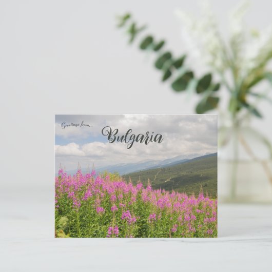 Rila Mountains and Pink Flowers in Bulgaria Briefkaart (Staand voorkant)