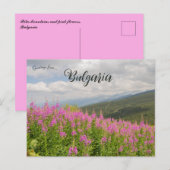 Rila Mountains and Pink Flowers in Bulgaria Briefkaart (Voorkant / Achterkant)