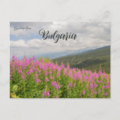 Rila Mountains and Pink Flowers in Bulgaria Briefkaart (Voorkant)