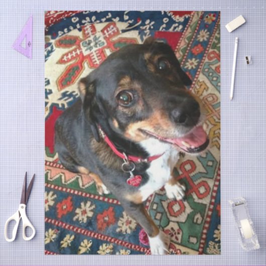 Riley 2 tissuepapier (Craft)