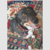 Riley 2 tissuepapier (Voorkant)