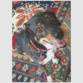 Riley 2 tissuepapier