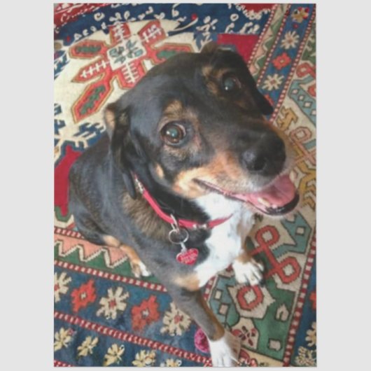 Riley 2 tissuepapier (Voorkant)