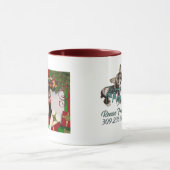 Riley - Border Collie - Linda Mok (Midden)