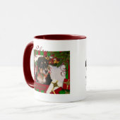 Riley - Border Collie - Linda Mok (Voorkant links)