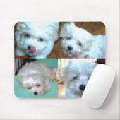 Riley Malti-poo Puppy Collage Muismat (Met muis)