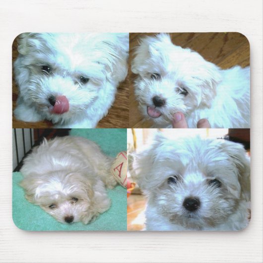 Riley Malti-poo Puppy Collage Muismat (Voorkant)