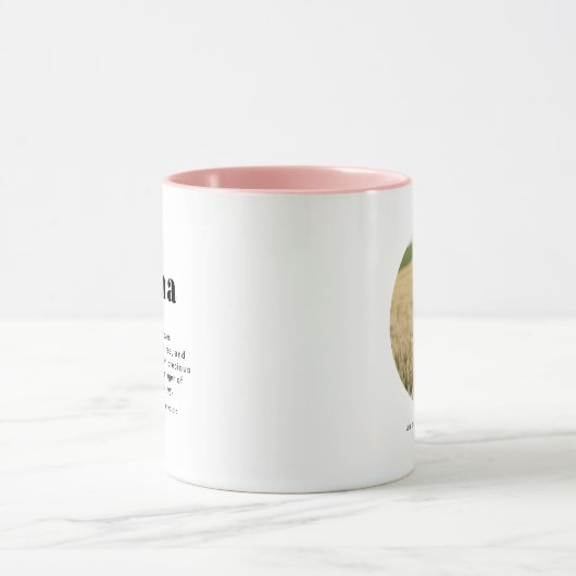 RILEY Modern Mama Definition Moederdag Foto Mok (Midden)