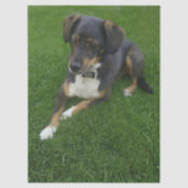 Riley Tissuepapier (Voorkant)