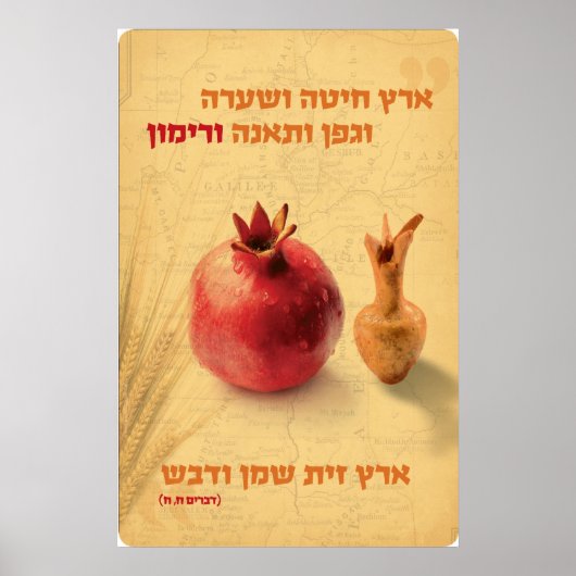 Rimon Poster (Voorkant)