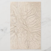 Rimpelig oud papier Papier Stationery (Voorkant)