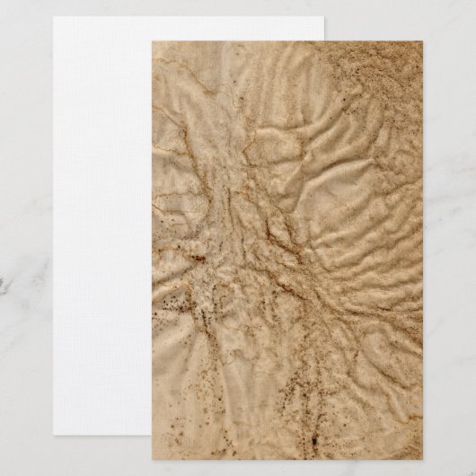 Rimpelig oud papier Papier Stationery (Voorkant / Achterkant)
