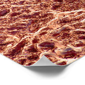 Rimpels op de zandstaaf met Gedroogde modder III - Poster (Hoek)