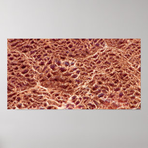 Rimpels op de zandstaaf met Gedroogde modder III - Poster