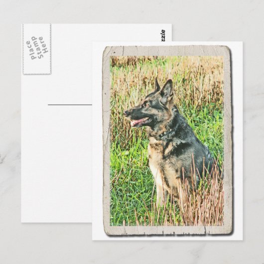 Rin Tin Tin tribute briefkaart (Voorkant / Achterkant)