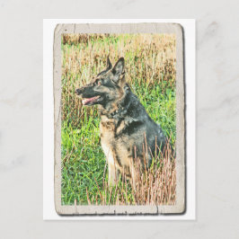 Rin Tin Tin tribute briefkaart