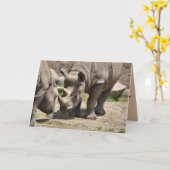 Rinamic Duo Kaart (Gele Bloem)