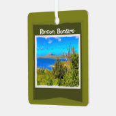 Rincon, Bonaire Aquarel Metalen Ornament (Voorkant links)