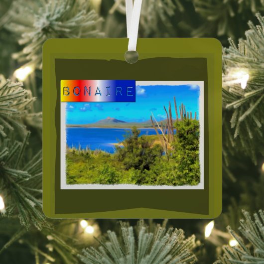 Rincon, Bonaire Waterverf Metalen Ornament (Insitu)