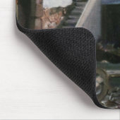 Rincón de Centulle (Lugo)/Nook of Centulle (Lugo) Muismat (Hoek)