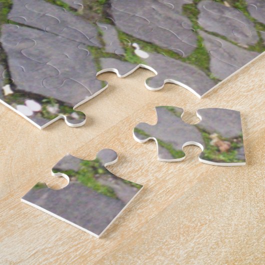 Rincon Suelo Empedrado y Macetas Orvieto Italia Legpuzzel (Zijkant)