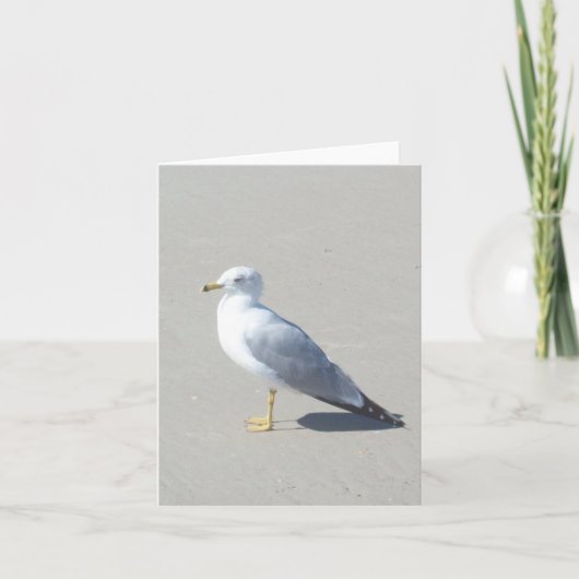 Ring Bled Gull Photo Folded Note Kaart (Voorkant)