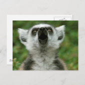 Ring-de steel verwijderde van Maki Briefkaart (Voorkant / Achterkant)