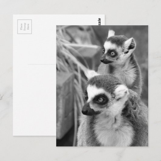 Ring-de steel verwijderde van maki met zwart-wit briefkaart (Voorkant / Achterkant)