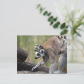 Ring-getrainde Lemur-moeder en -Baby Briefkaart (Staand voorkant)