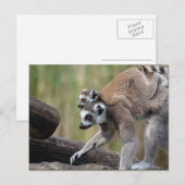 Ring-getrainde Lemur-moeder en -Baby Briefkaart (Voorkant / Achterkant)