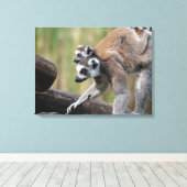 Ring-getrainde Lemur moeder en Baby Canvas Afdruk (Insitu (Houten vloer))