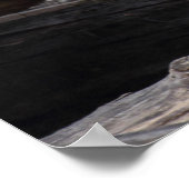 Ring-getrainde Lemur moeder en Baby Poster (Hoek)