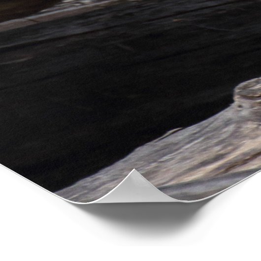 Ring-getrainde Lemur moeder en Baby Poster (Hoek)