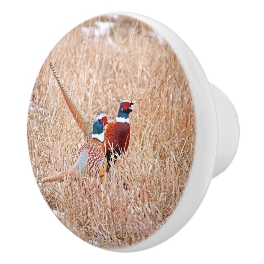 Ring-hals fazant aangepaste keramische knop (Rechts)