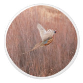 Ring-hals fazant aangepaste keramische knop (Voorkant)