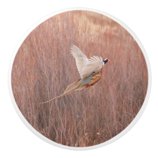 Ring-hals fazant aangepaste keramische knop (Voorkant)